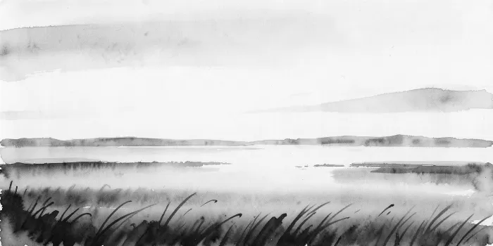 Misty Marshland