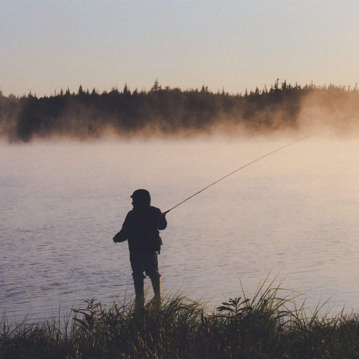 Fly Fisher - Newfoundland art print