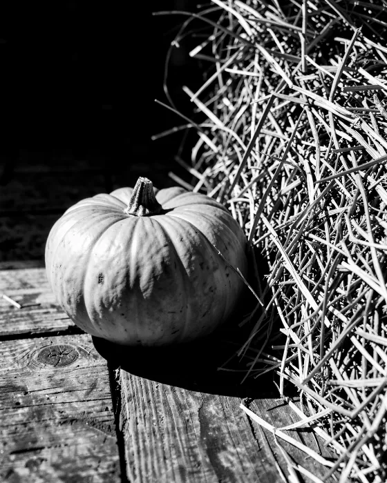 Plank Pumpkin