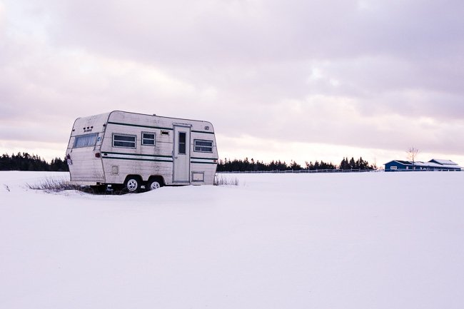 Cold Winter - Newfoundland art print
