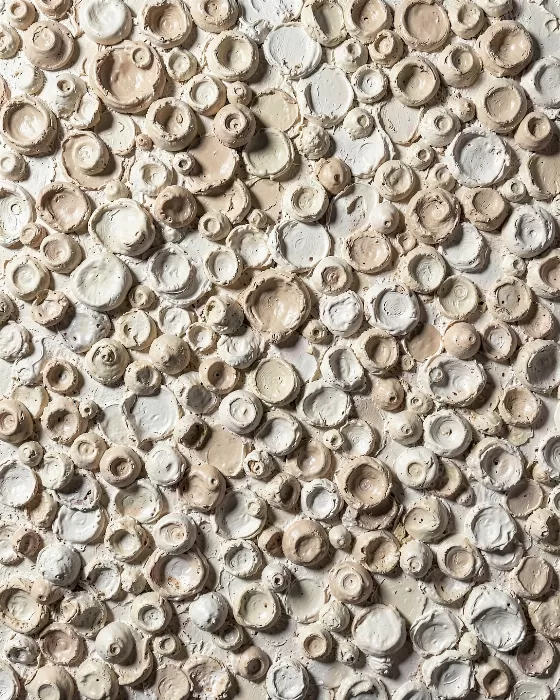Barnacle Crust