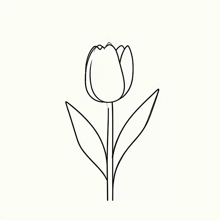 Tulip Line