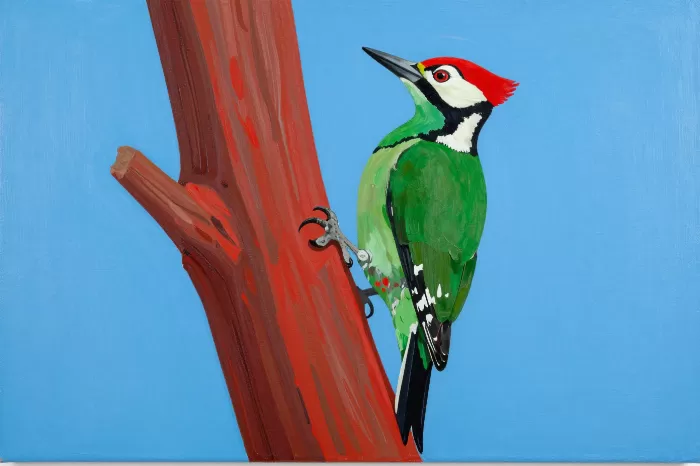Crimson Pecker