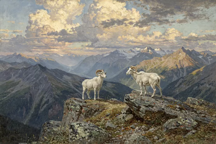 Ridge Watchers