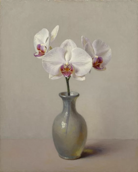 Still Orchid