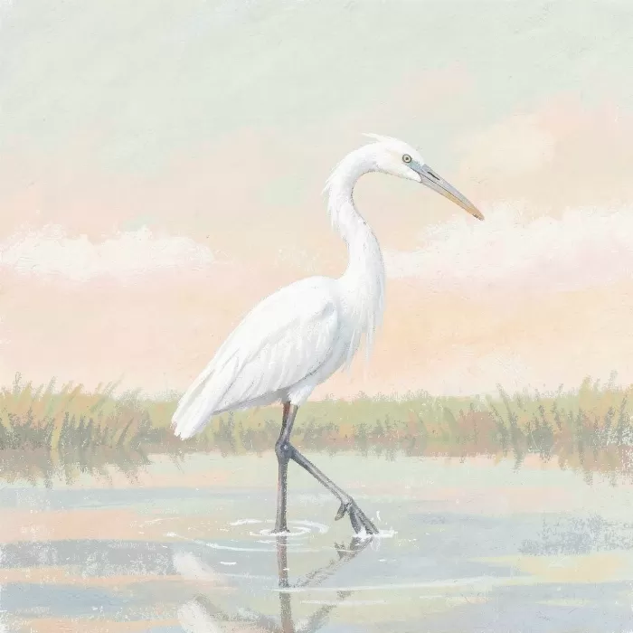 Chalk Heron