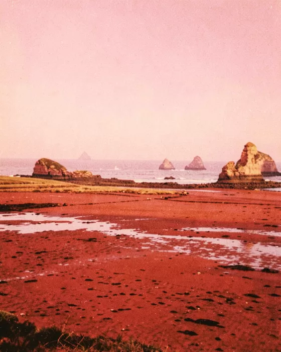 Fundy Mudflats