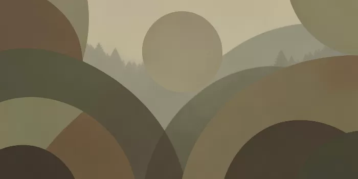 Misty Arcs