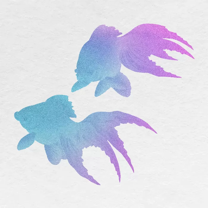 Gradient goldfish