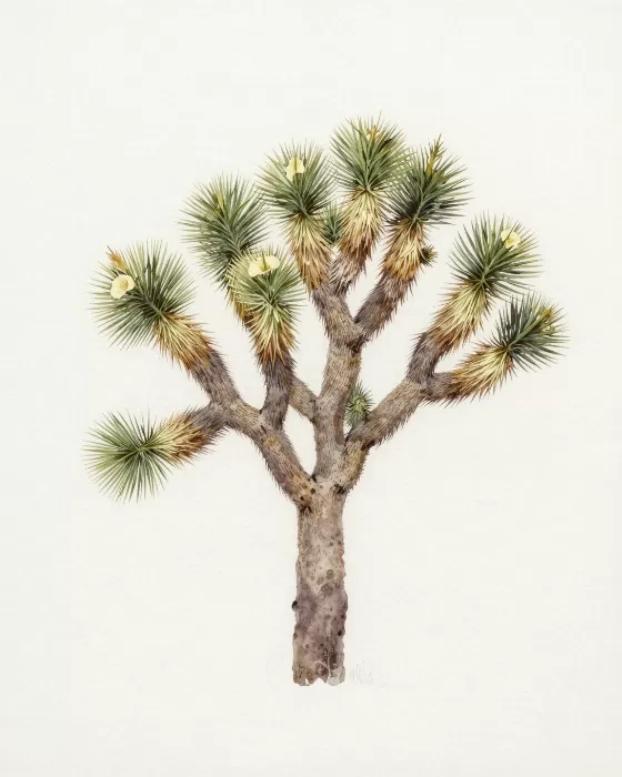 Desert Bell
