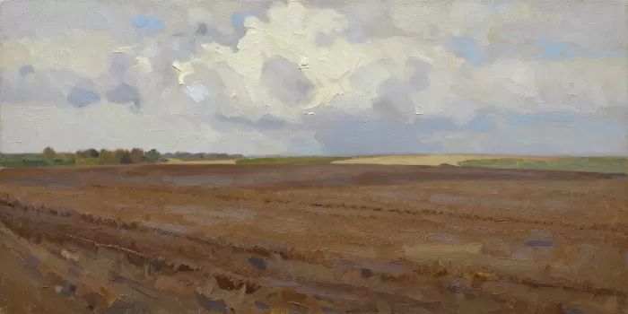 Plough Field