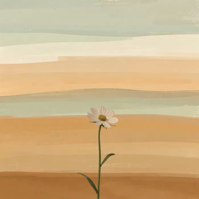 Lone Cosmos