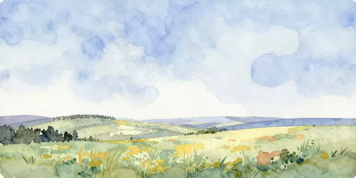Luminous Vista