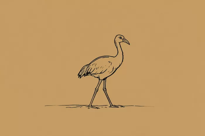 Crane Step II