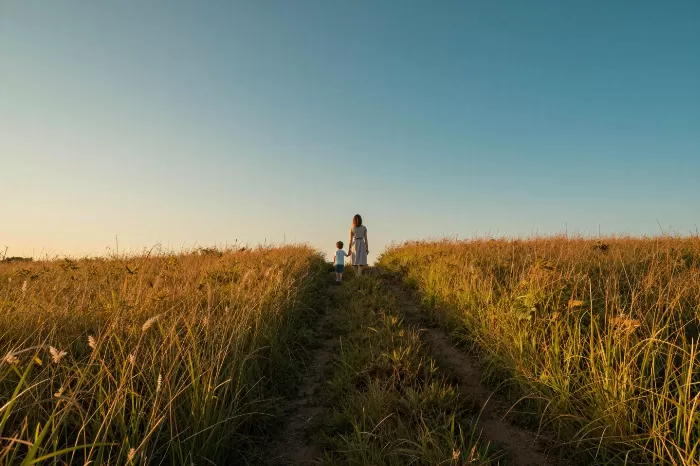 Summer Trail