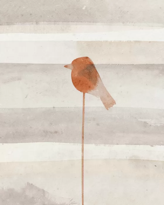Warm Grey Finch