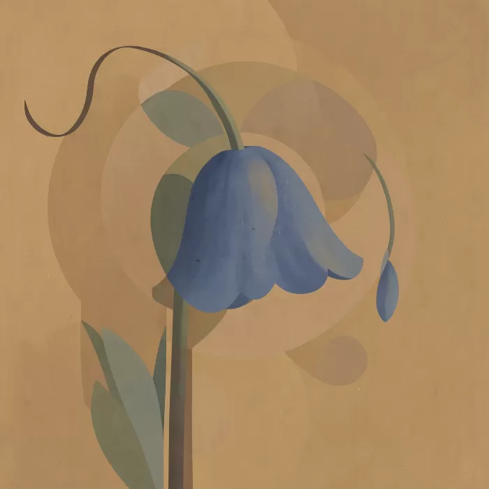 Bluebell Arc