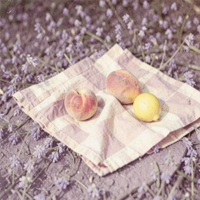 Bluebell Picnic