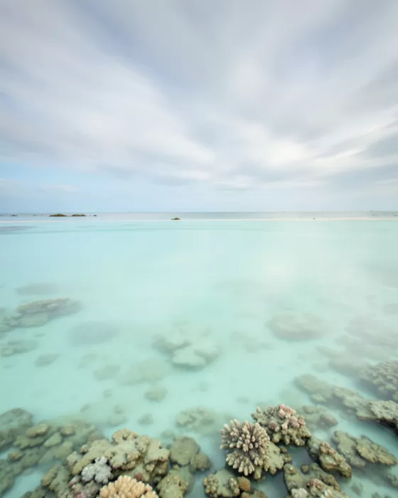 Reef Mirror