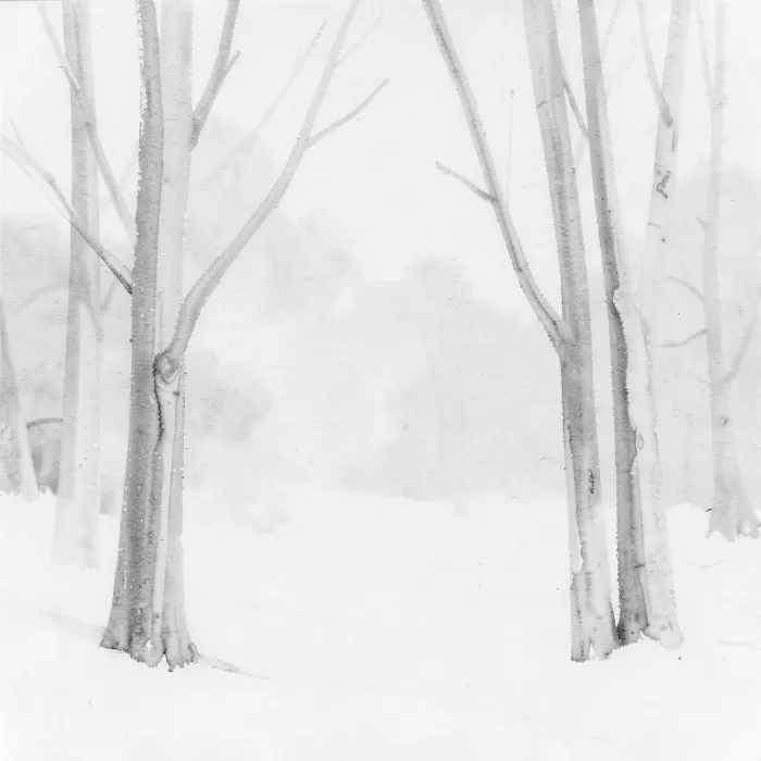 Snow Haze