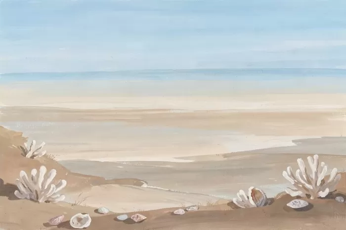 Urchin Shores