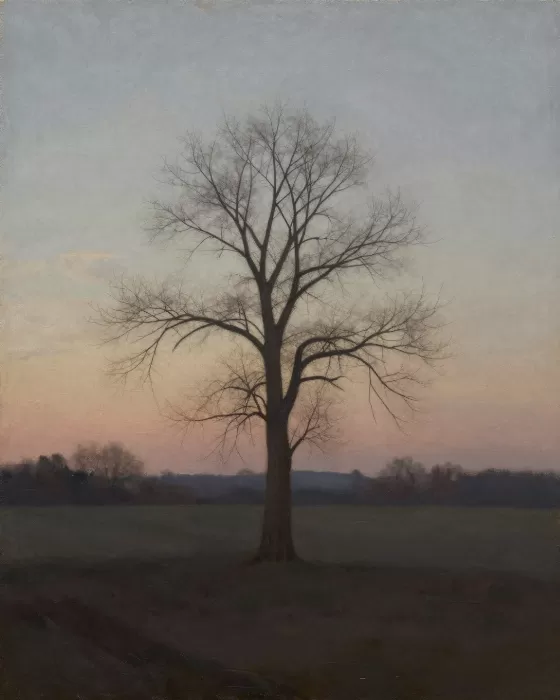 Silent Branches