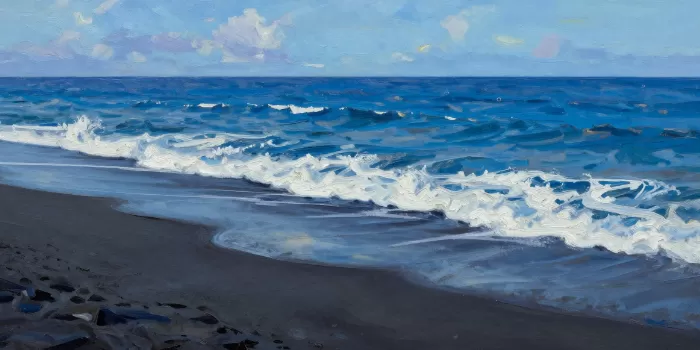 Hawaiian Shore