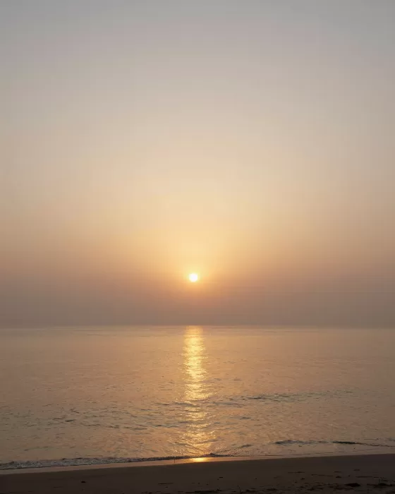 Sunlit Serenity