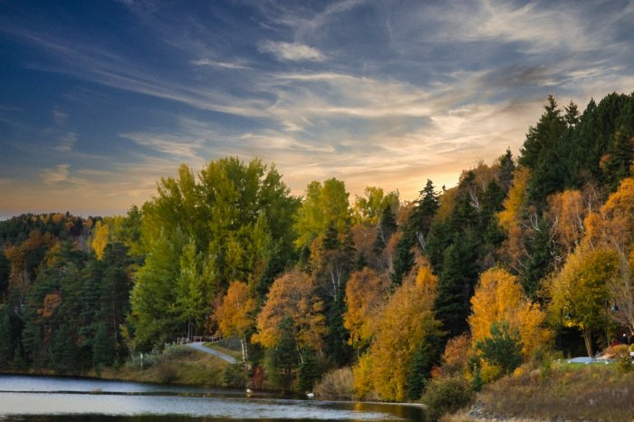 Fall In Time - Newfoundland art print