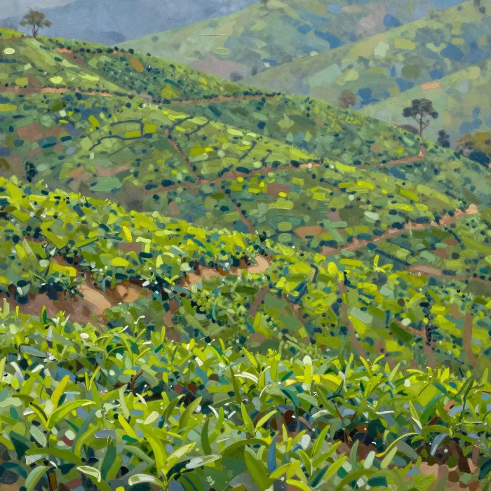 Tea Estate