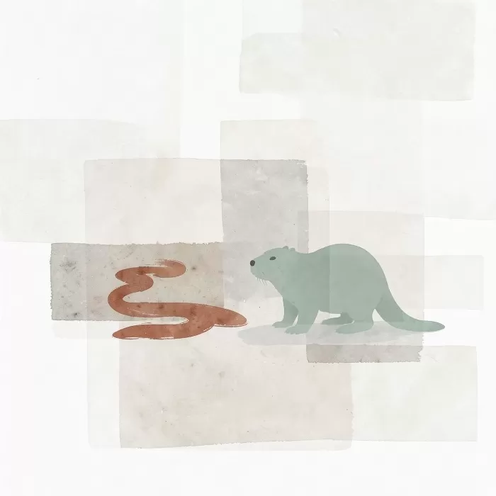 River Beaver