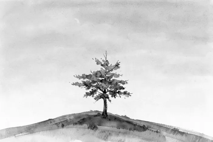 Quiet Summit