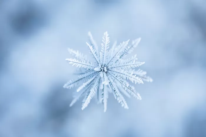 Ice Facet