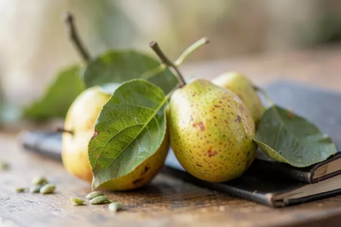 Book And Pear