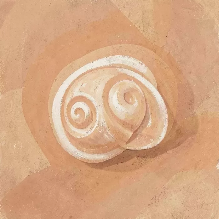 Terracotta Tide