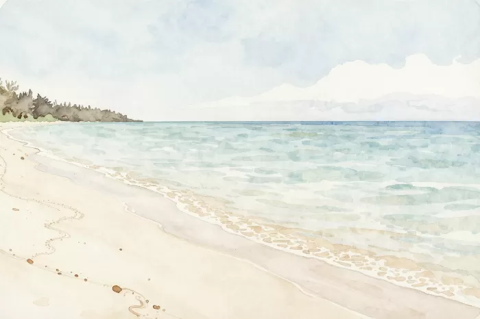 Whitsunday Shore