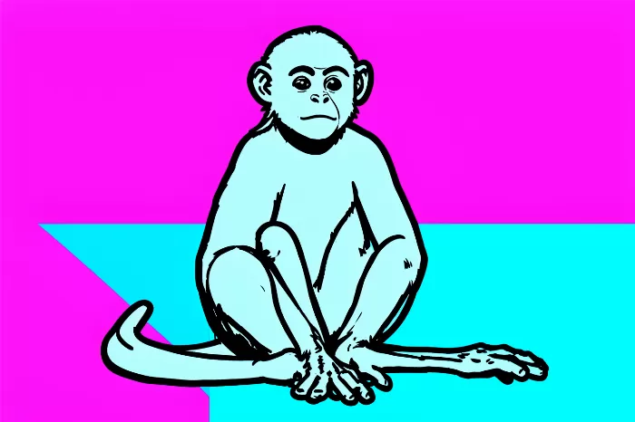 Monkey Pop