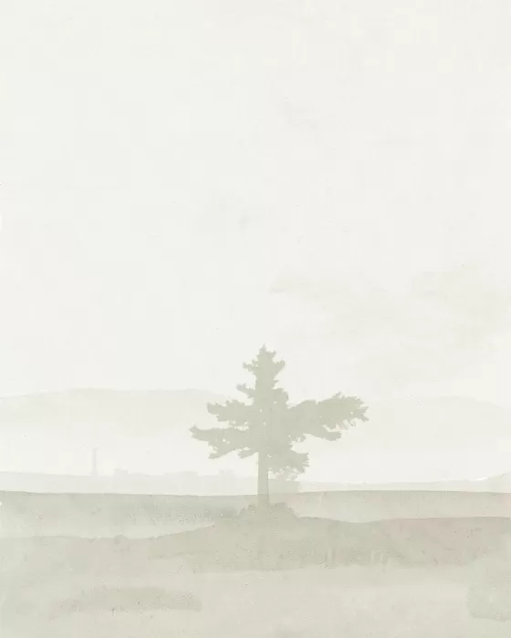 Quiet Pine