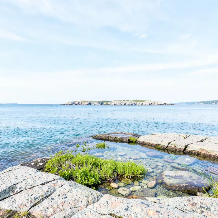 Maine Stillness