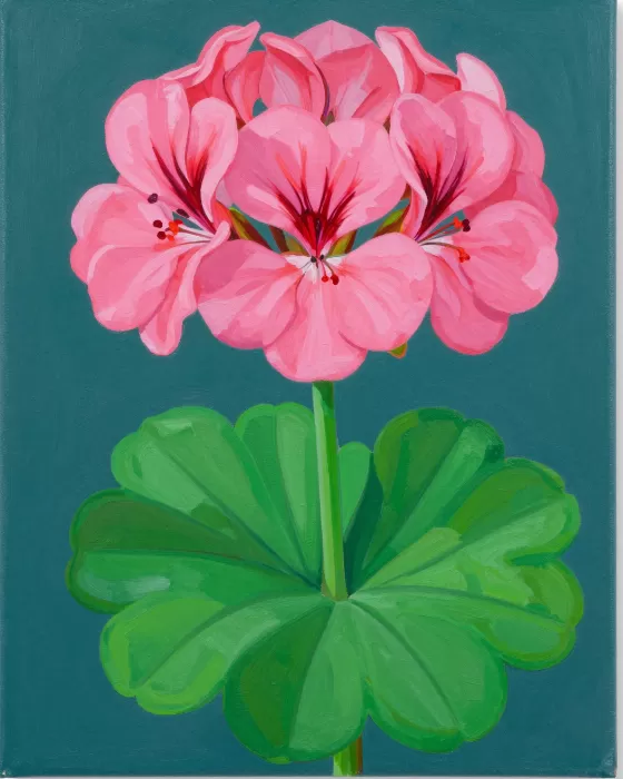 Geranium Pop