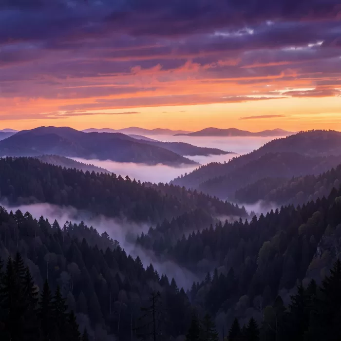 Foggy Summits