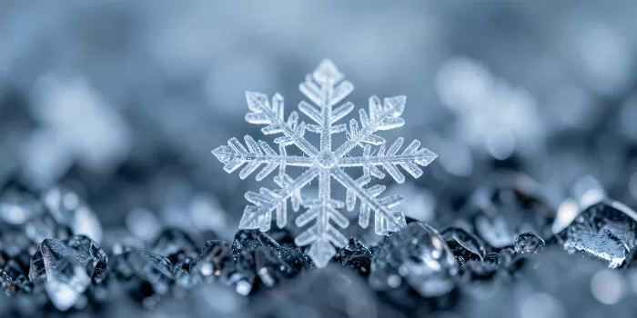 Glacial Snowflake