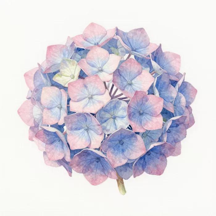 Gentle Bloom