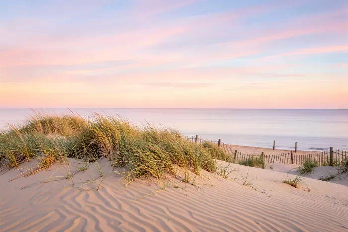 Seaside Grass