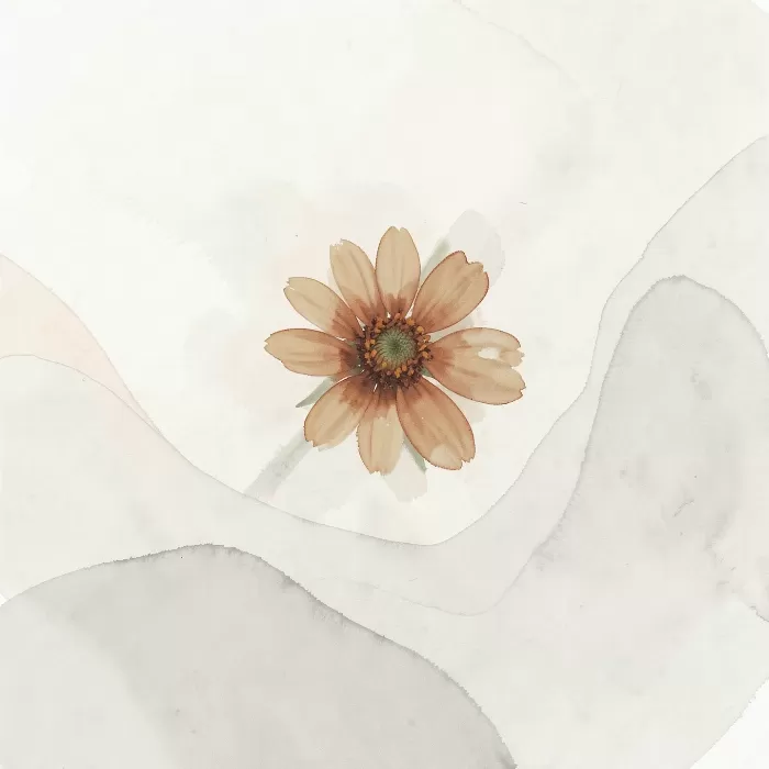 Soft Zinnia