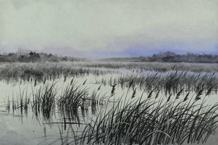Misty Marsh