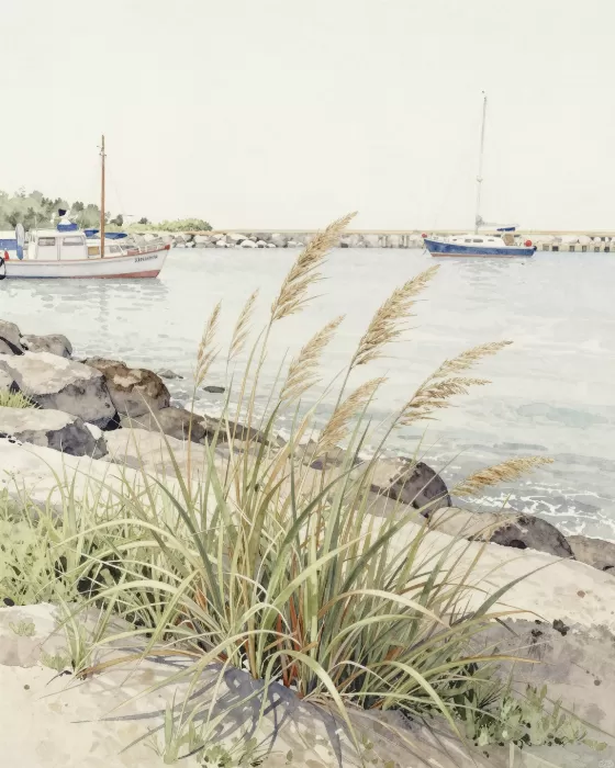 Sea Grasses