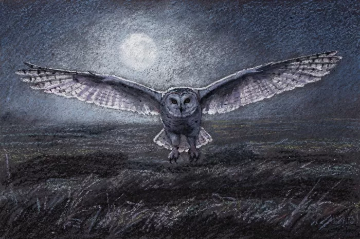 Moonlit Glide