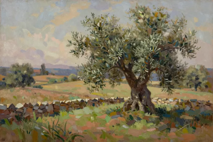 Ancient Grove