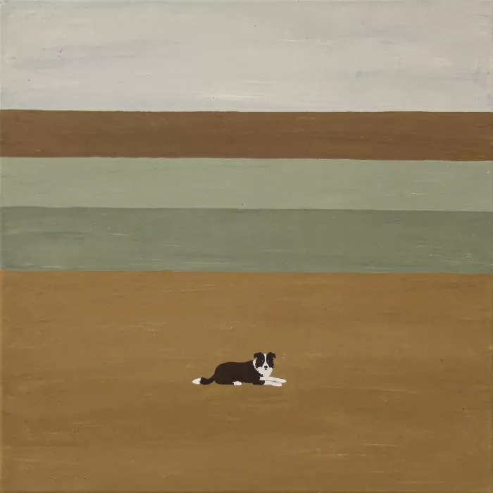 Collie Dream